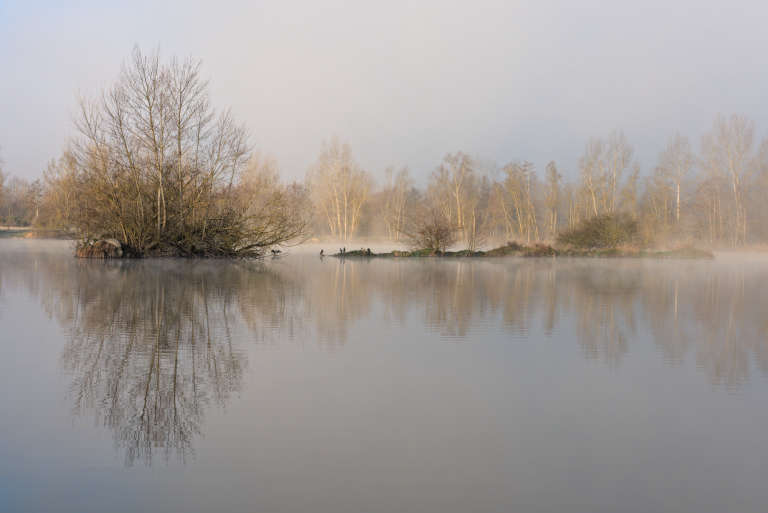 Photo d’un lac à l’aube avec en reflets des arbres au centre et quelques cormorans se séchant aux premières lueurs du soleil