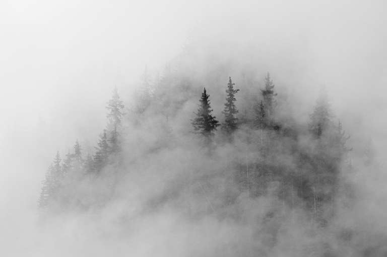 Photo noire et blanc d’une montagne dans les nuages ne laissant transparaître que quelques arbres et roches au travers